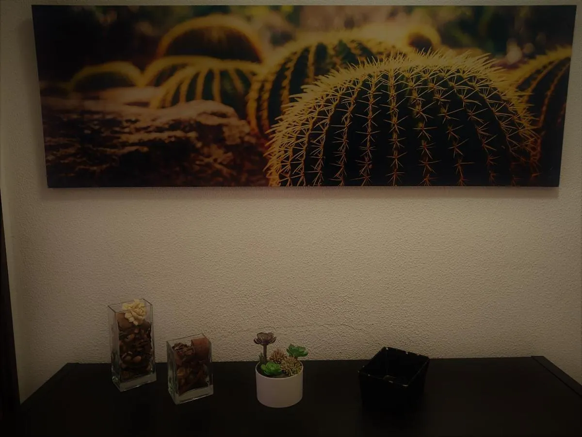 Apartamentos Paraiso Sol Da Rocha Portimão Appartement